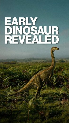 This Dinosaur Was Found on a Lake Shore, Not in a Desert