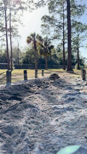 ICYMI: Applications are now open for the April Initial Entry Training (IET). If you’re ready to stand up for Florida during emergencies and threats to public safety, step forward. Answer the call. 🔗Link www.floridastateguard.org/called | Florida State Guard