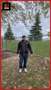 70 reactions · 17 shares | AUTUMN - HTZ HOUNDZ: Adoptable Dog of the...