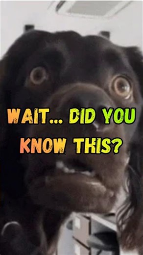 Horrifying Facts You Might Not Want to Know