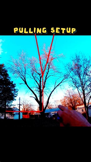 Setup FAILURE! #TreeClimbing #Chainsaws #OutdoorActivities #YardWork #CrashOut #Impact #Shorts #fyp