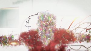 OPAL-LFC_collaboration_promo