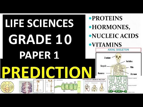 PREDICTION GRADE 10 LIFE SCIENCE PAPER 1 FINAL EXAM: THUNDEREDUC BY M.SAIDI