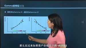 进阶一 2.3 Gamma的基本特征