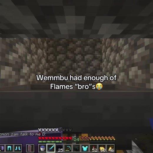 the end was totally the wind 😄 #wemmbu #flamefrags #lifesteal #unstablesmp #minecraft i don’t remember which stream this is