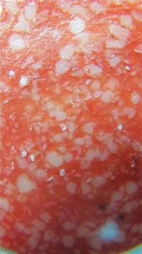 What Salami Looks Like Up Close 🍖🔍