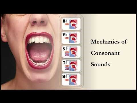 Episode 2: Consonants