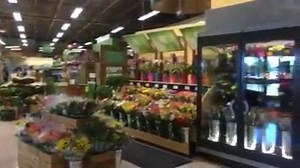 7K views · 168 reactions | NewsChannel 12's Lauren Arnott got a sneak peak at the new Publix before it's opening on Wednesday. She'll have more on this in our evening newscasts. | WCTI News 12 | Facebook