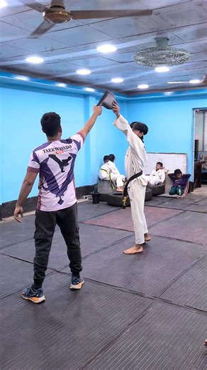 Taekwondo Painful Kicks Tutorial