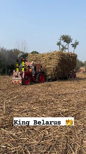 93K views · 4.6K reactions | Belarus hydraulic | Kings Tractors | Facebook