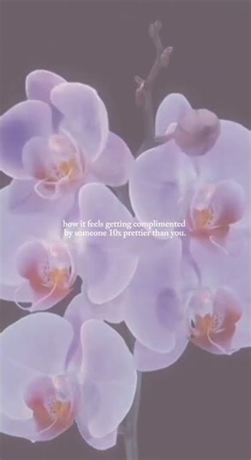 I literally explode with joy inside 😭 ￼