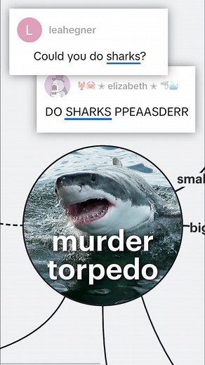 Diagram your murder torpedos with Lucid