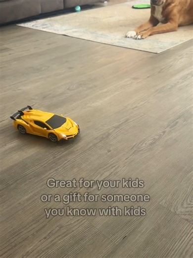 Best RC Morph Toy for Kids
