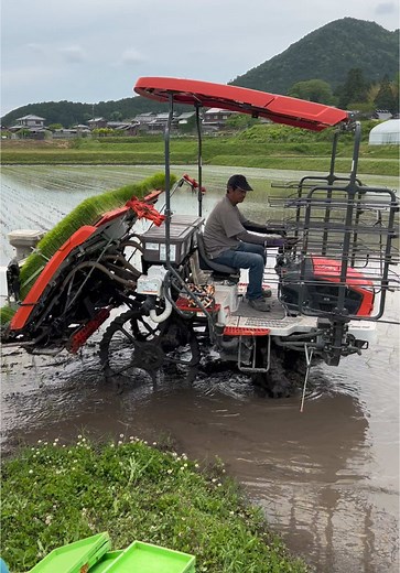 田植え作業の魅力とクボタNW8S GS