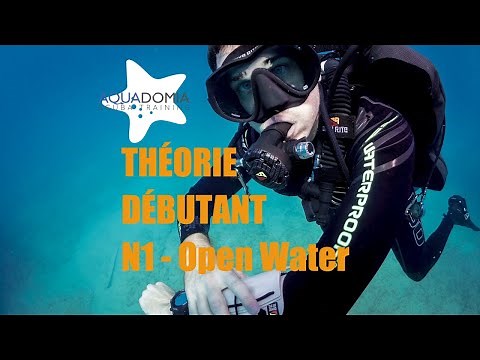 Beginner scuba diving course: complete theory in 1 hour!