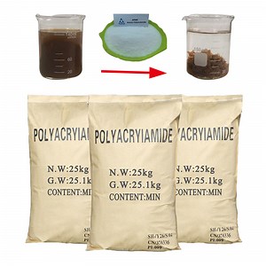 Anionic Polymer Flocculant Polyacrylamide for Daf System