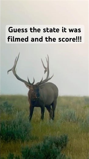 Bull Elk Rut guess the state and score!!! #archery #elk #bigbull #hunting #outdoors #OPE