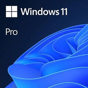 Microsoft Windows 11 Pro Software Download