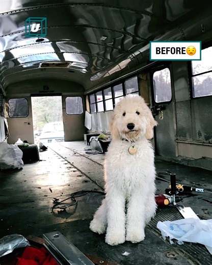 56K views · 308 reactions | What an incredible conversion - there's so much space inside!  | UNILAD Adventure | Facebook