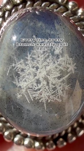 Scientists have identified over 35 types of snowflakes, from stars to columns to capped needles. This one fell as a stellar dendrite—what most people imagine when they picture winter’s crystals. #snowflakes #science #snowfall #tinyart #resinjewelry | Danielle Oliver