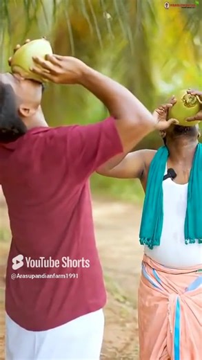 🥥 Coconut Farming Tips 🌱 | Easy Methods for High Yield! உங்கள் தேங்காய் தோட்டத்தில் அதிக விளைச்சல் பெற இந்த எளிய வழிகளை பின்பற்றுங்கள் 🌿 #FarmersTips #CoconutFarming #organicfarming #CoconutFarming #CoconutFarmingTips #HighYieldCoconut #OrganicFarming #CoconutCultivation #FarmingTips #AgricultureIndia #FarmersLife #AgriTips #SustainableFarming #CoconutTreeCare #CoconutYieldIncrease #CoconutFarmers #TamilFarming #FarmingReels #VillageFarming #OrganicCoconut #AgriReels #FarmSuccess #ArasuPandia