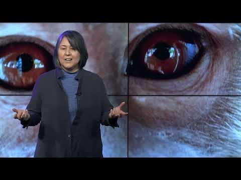Is Animal Research Justified By Human Supremacy? | Syd Johnson | TEDxSUNYUpstate