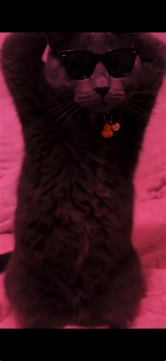 make him famous 🫦