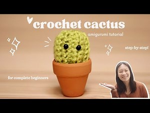 Mini Cactus: The ULTIMATE Guide for Beginners