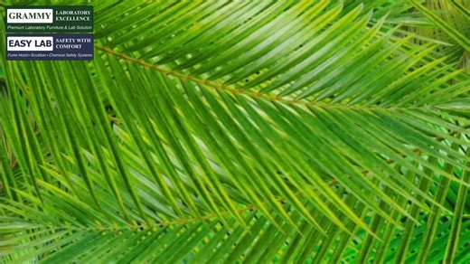 588 reactions · 70 shares |  3D Virtual Lab Design – Plant Genetics...