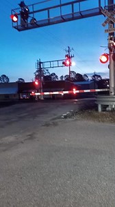 1.1K views · 42 reactions | #trainspotting I think this may be NS #28J w/ #3663 ET44AC Leading. The second loco number was smudged. Due to Speed & lighting 邏 | Ben Peavy | Facebook