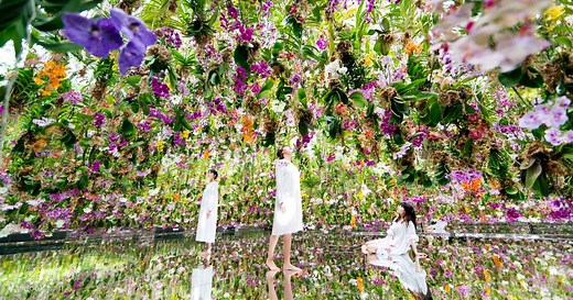 東京豐洲teamLab Planets TOKYO門票 - Klook香港