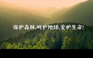 【公益短片 LASER最后的森林】双木成林染尽山河，独苗虽绿怎抵风沙——保护森林，人人有责