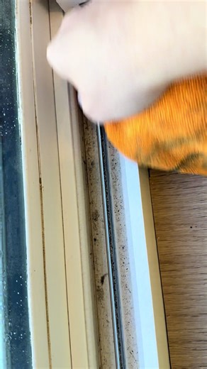 Clean window tracks with me at a deep clean 🧼✨ #deeclean #cleaning #sandiego #sandiegocleaning #cleaningtok