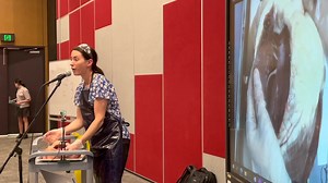 2.2K views · 31 reactions | Cow Heart & Pluck Dissection 麗 Did you...