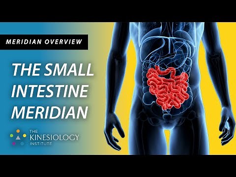 The Small Intestine Meridian | Meridian Overviews