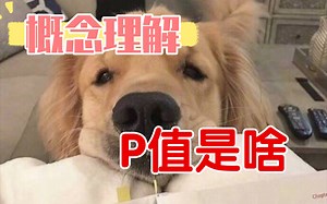 五分钟搞懂！什么是p值？假设检验？原假设？备择假设？全B站最最好理解的p值含义！