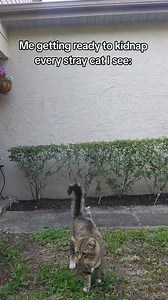 Sarah Harlow on Reels