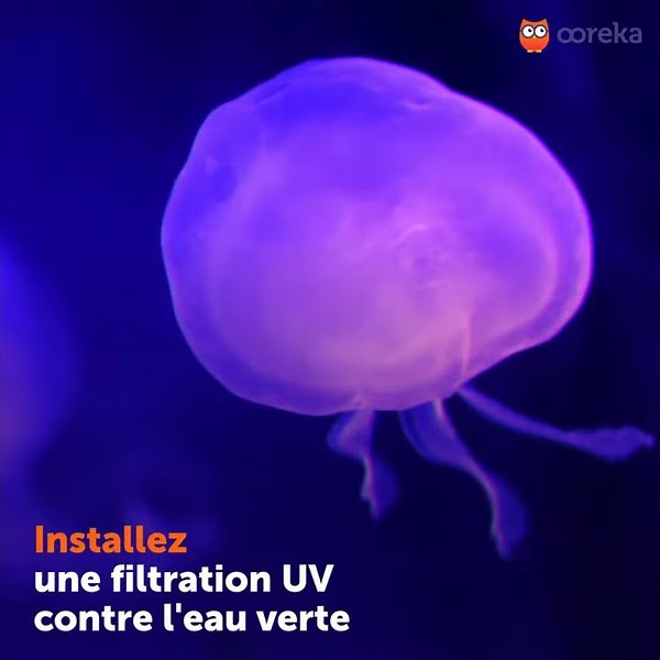 Limiter l'eau trouble d'un aquarium