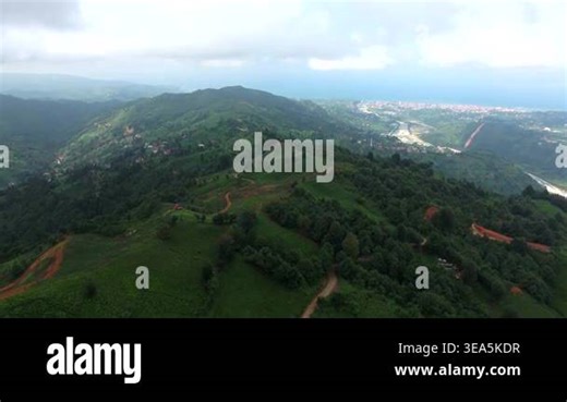 Aerial view of lush green tea fields covering rolling hills in humid subtropical mountain climate. Verdant plantations and misty slopes define fertile highlands shaped by rainfall and terrain Stock Video Footage - Alamy