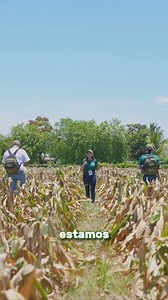 2.5K reactions · 917 shares | ¿Para qué sirve un Censo Agropecuario y de Pesca? Aquí te explicamos. En El Salvador no se realizaba un censo agropecuario desde 2007 y nunca antes se había hecho uno de pesca . Ayúdanos a actualizar los datos del país participando en el Censo. ¡Nuestra tierra cuenta contigo!  | Banco Central de Reserva de El Salvador | Facebook