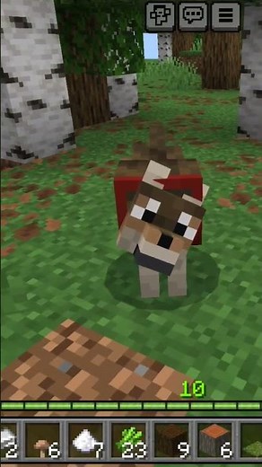 Tame with wolf pet in minecraft , Wolf tame #minecraft #pets #games #gaming #game #gamer #survival