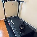 Schwinn Fitness Treadmill
