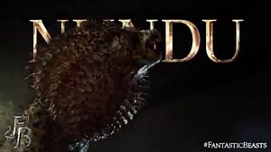 Extremely dangerous and hard to subdue, the Nundu moves silently despite its gigantic size. #Nundu #FantasticBeasts - in 2D, 3D, 4D & IMAX 3D starting November 17th! | Warner Bros. Pictures