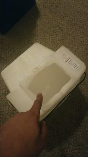 Carpet cleaner Rental from HOME DEPOT #shorts #diy #youtubeshorts