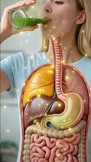 “How Juice Is Digested in the Human Body”