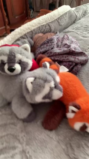 Windows Vista (@windowsphone15)’s videos with оригинальный звук - XWER