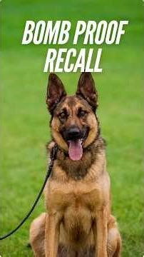 How to use two principles to create a bombproof recall.