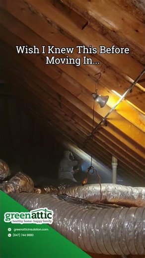 Wish I Knew This Before Moving In... 🏠 Always check for mold