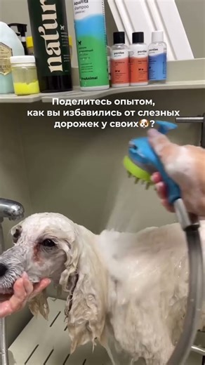 💦слёзные дорожки