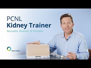 PCNL Kidney Trainer - Percutaneous Nephrolithotripsy - Encoris